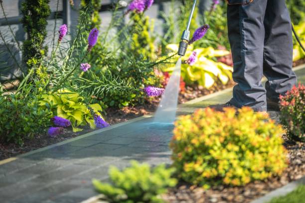 Best Sidewalk and Walkway Pressure Cleaning in Ramsey, MN